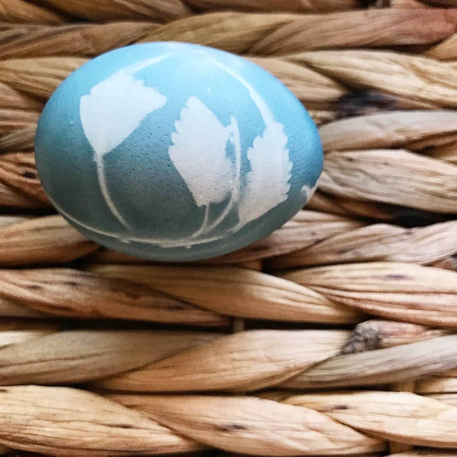 Natural Easter Egg Dye My Petite Joys