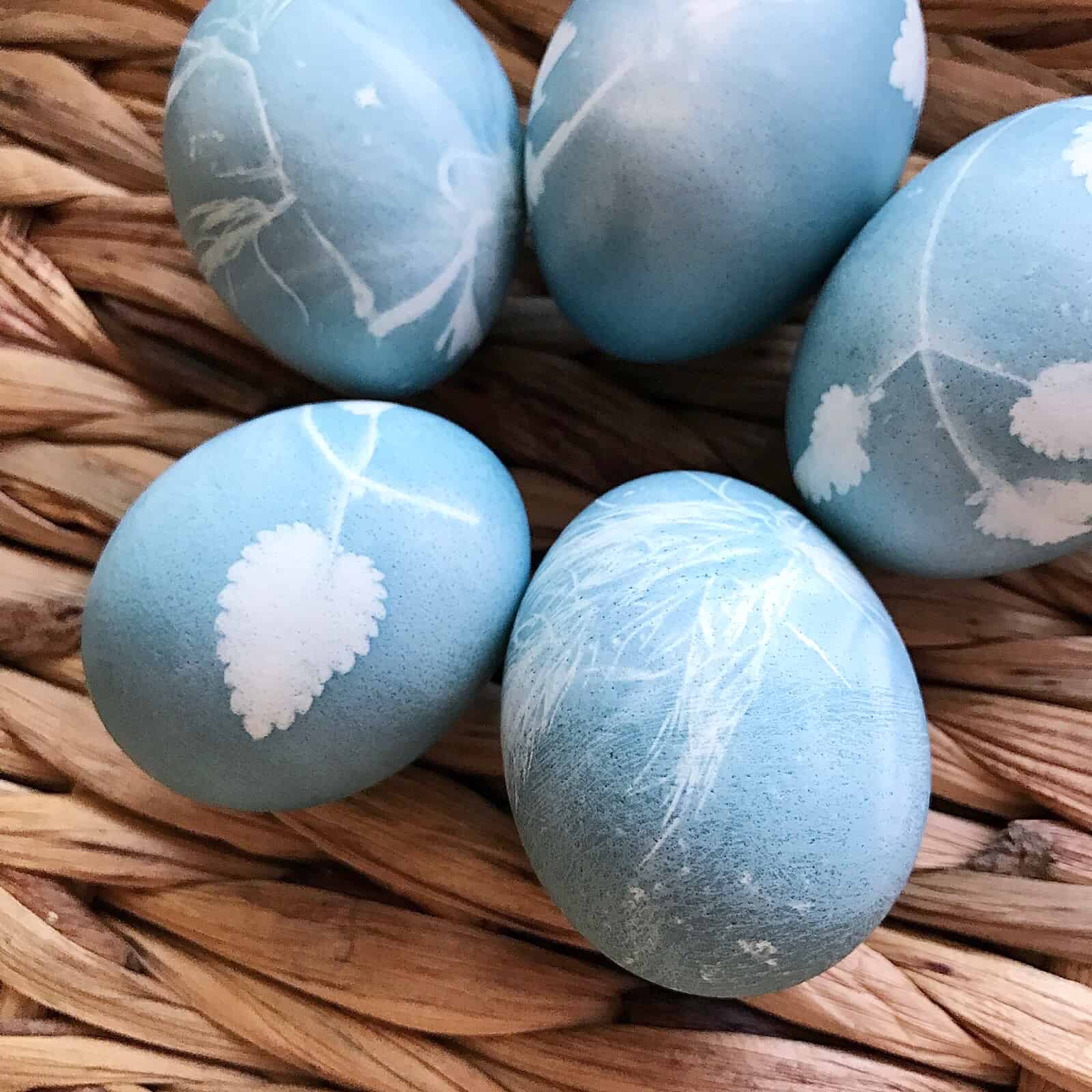 Natural Easter Egg Dye My Petite Joys