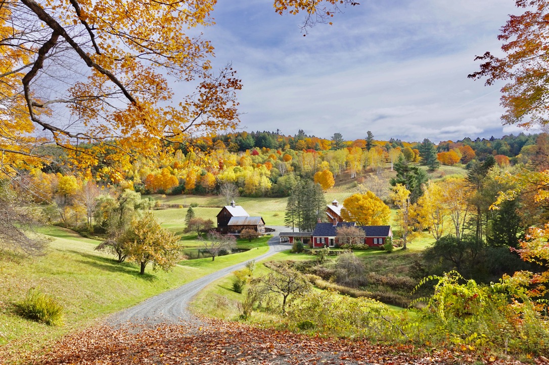 Fall Date Ideas: 20 Ways to Celebrate Autumn near Concord's Colonial Inn